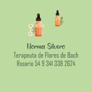 Manejo de redes placas estilo gráfico idea tarjeta