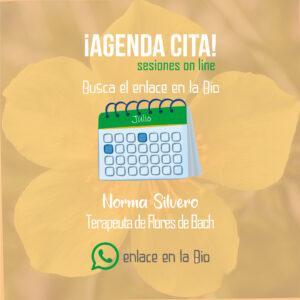 Manejo de redes placas estilo gráfico idea tarjeta