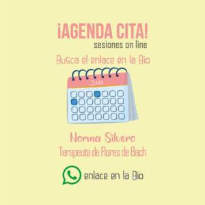 Manejo de redes placas estilo gráfico idea tarjeta