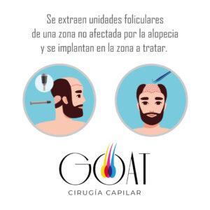 gráfica placas para redes sociales idea tarjeta