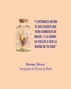 gráfica placas para redes sociales idea tarjeta