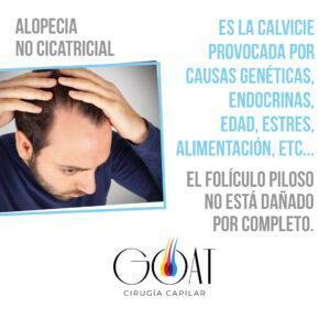 gráfica placas para redes sociales idea tarjeta