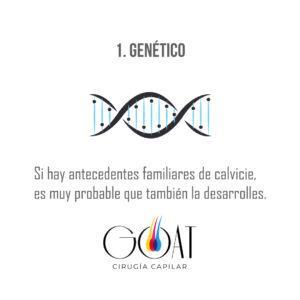gráfica placas para redes sociales idea tarjeta