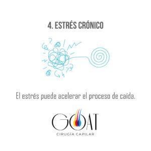 gráfica placas para redes sociales idea tarjeta