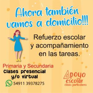 Manejo de redes placas estilo gráfico idea tarjeta