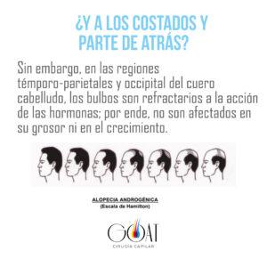 gráfica placas para redes sociales idea tarjeta